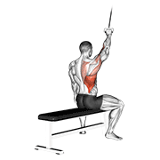 Alternate lateral pulldown animation