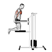 Assisted chest dip (kneeling) animation