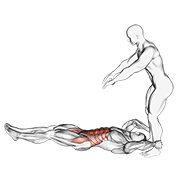 Assisted lying leg raise with throw down animation
