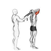 Assisted standing triceps extension (with towel) animation