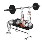 Barbell pullover to press animation
