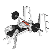 Barbell bench press animation