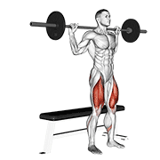 Barbell bench squat animation