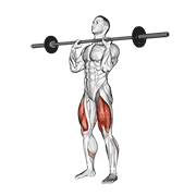 Barbell front chest squat animation