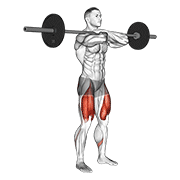 Barbell front squat animation