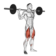 Barbell full squat animation