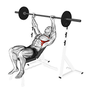 Barbell incline shoulder raise animation