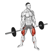 Barbell jefferson squat animation