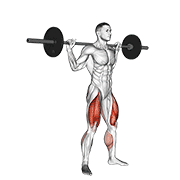 Barbell jump squat animation