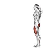 Barbell lunge animation
