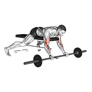 Barbell lying preacher curl animation