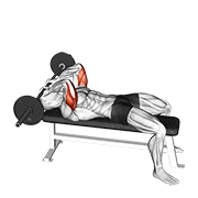 Barbell lying triceps extension skull crusher animation