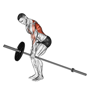 Barbell one arm bent over row animation