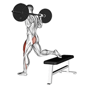 Barbell one leg squat animation