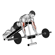 Barbell prone incline curl animation