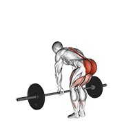 Barbell romanian deadlift animation