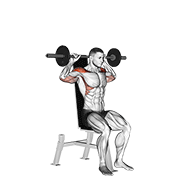 Barbell seated bradford rocky press animation