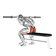 Barbell seated good morning animation