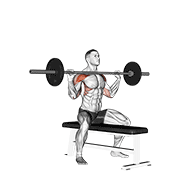 Barbell seated overhead press animation