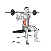 Barbell seated twist animation