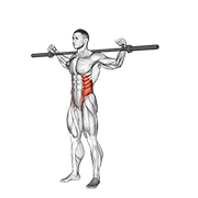 Barbell side bent v. 2 animation