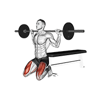 Barbell squat (on knees) animation
