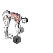 Barbell standing ab rollerout animation