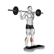 Barbell standing leg calf raise animation