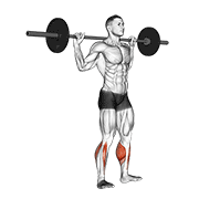 Barbell standing rocking leg calf raise animation