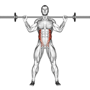 Barbell standing twist animation