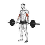 Barbell standing wide-grip curl animation