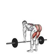 Barbell straight leg deadlift animation