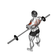 Barbell upright row v. 2 animation