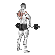 Barbell upright row animation
