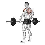 Barbell wide-grip upright row animation