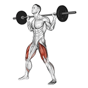 Barbell wide squat animation