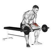 Barbell wrist curl v. 2 animation