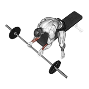 Barbell wrist curl animation