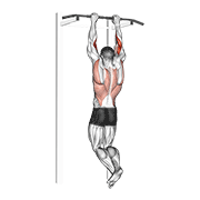 Biceps pull-up animation