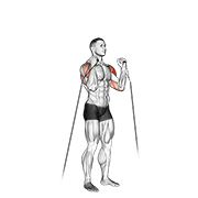 Cable alternate shoulder press animation