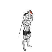 Cable alternate triceps extension animation