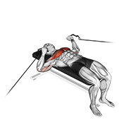 Cable bench press animation