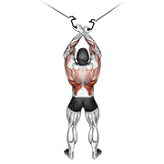 Cable cross-over lateral pulldown animation