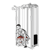 Cable deadlift animation