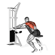 Cable decline seated wide-grip row animation