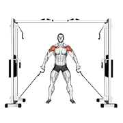 Cable front shoulder raise animation