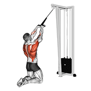 Cable high row (kneeling) animation