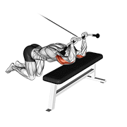Cable kneeling triceps extension animation