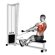 Cable low seated row animation