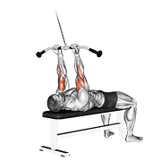Cable lying close-grip curl animation
